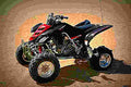 Yamaha Raptor 660R 2005 1 motorbike A4 Photo Print