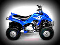 Yamaha Raptor 80 2005 6 motorbike A4 Photo Print