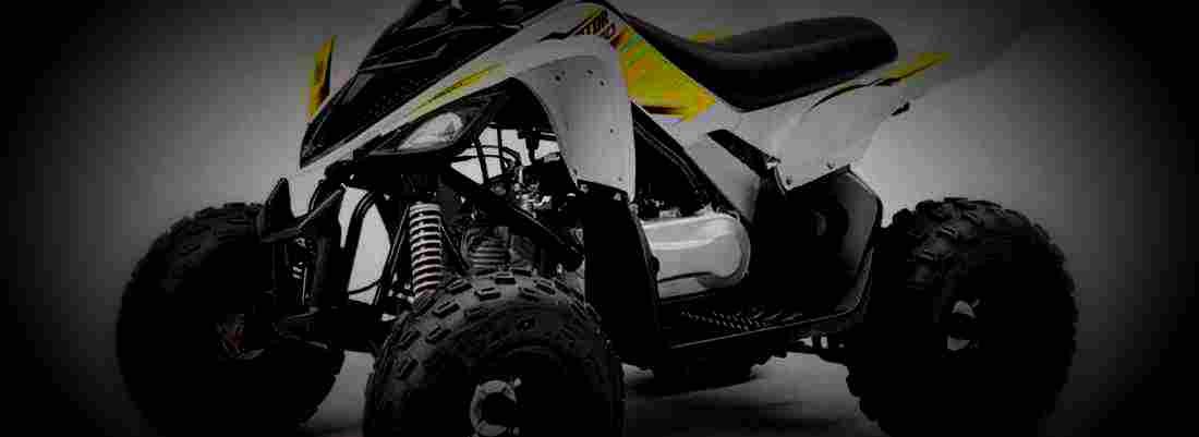 Yamaha Raptor 90 2017 1 780x284 motorbike A4 Photo Print