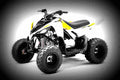 Yamaha Raptor 90 2017 1 motorbike A4 Photo Print