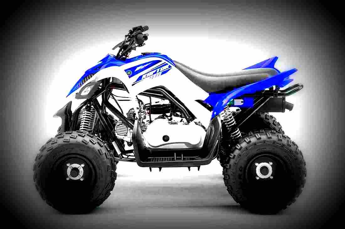 Yamaha Raptor 90 2017 2 motorbike A4 Photo Print