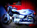 Yamaha SR 250 Special (reduced effect) 1981 5 motorbike A4 Photo Print