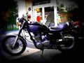 Yamaha SR 500 1994 6 motorbike A4 Photo Print