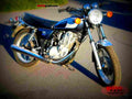 Yamaha SR 500 1995 4 motorbike A4 Photo Print