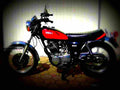 Yamaha SR 500 S 1982 3 motorbike A4 Photo Print