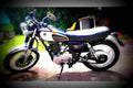 Yamaha SR 500 T 1991 2 motorbike A4 Photo Print