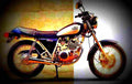 Yamaha SRV 250 SRV 250 4 motorbike A4 Photo Print