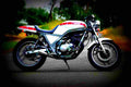 Yamaha SRX 6 1986 5 motorbike A4 Photo Print
