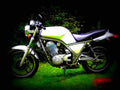 Yamaha SRX 6 1987 1 motorbike A4 Photo Print