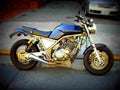 Yamaha SRX 6 1987 2 motorbike A4 Photo Print