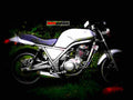 Yamaha SRX 6 1987 3 motorbike A4 Photo Print