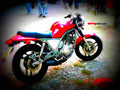 Yamaha SRX 6 (reduced effect) 1988 1 motorbike A4 Photo Print