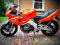 Yamaha SZR 660 1996 4 motorbike A4 Photo Print
