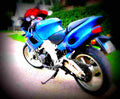 Yamaha SZR 660 1997 4 motorbike A4 Photo Print