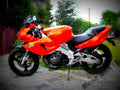 Yamaha SZR 660 1998 4 motorbike A4 Photo Print