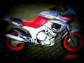 Yamaha TDM 850 1991 1 motorbike A4 Photo Print
