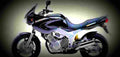 Yamaha TDM 850 2000 1 600x284 motorbike A4 Photo Print