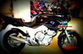 Yamaha TDM 850 2000 5 motorbike A4 Photo Print