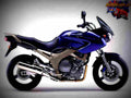 Yamaha TDM 900 2003 2 motorbike A4 Photo Print