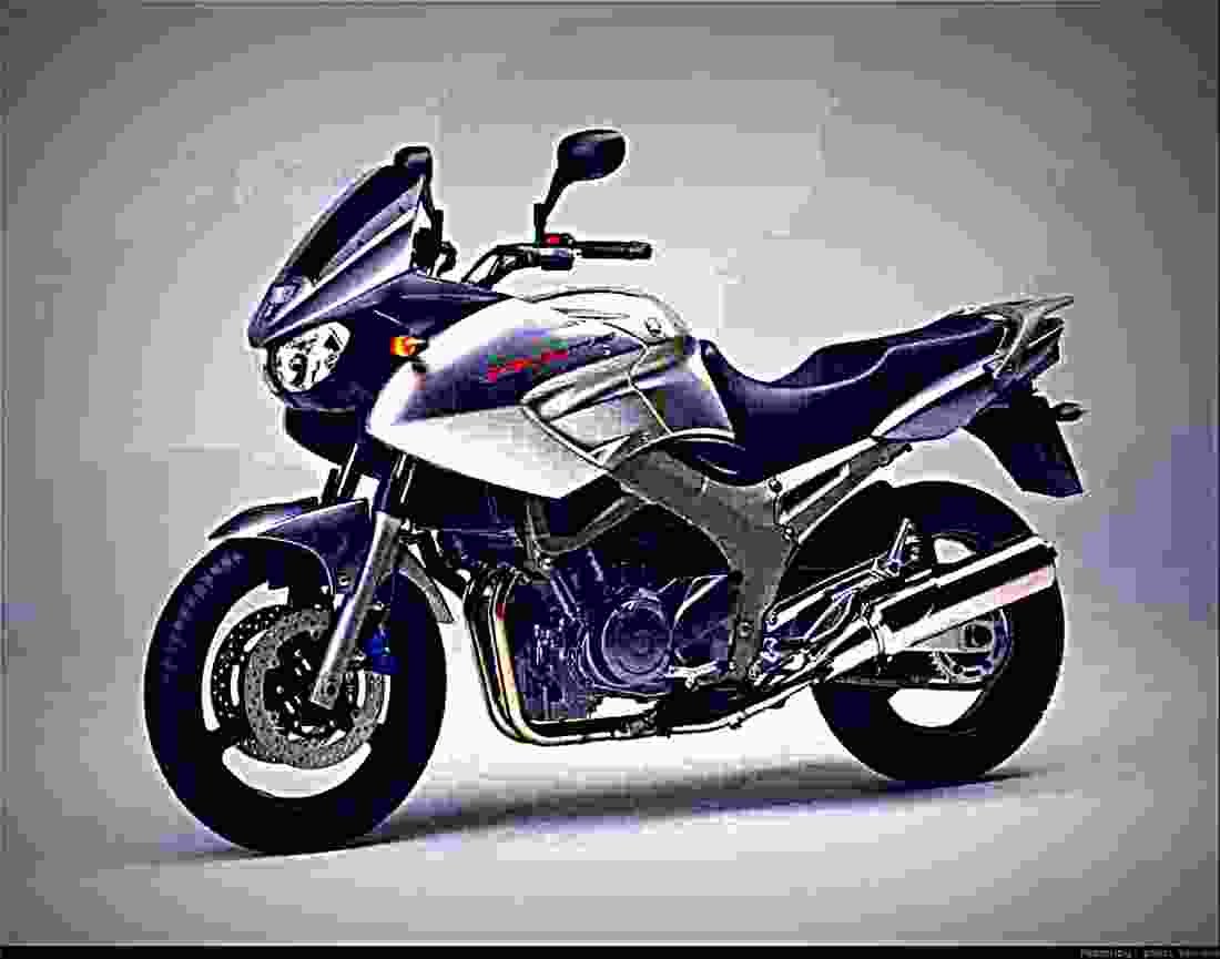Yamaha TDM 900 2003 4 motorbike A4 Photo Print