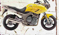Yamaha TDM900 2002 Aged Vintage A4 Photo Print