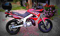 Yamaha TDR 125 1997 4 motorbike A4 Photo Print