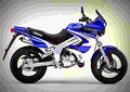 Yamaha TDR 125 1997 5 motorbike A4 Photo Print