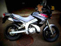 Yamaha TDR 125 1999 6 motorbike A4 Photo Print