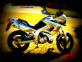 Yamaha TDR 125 2001 1 motorbike A4 Photo Print