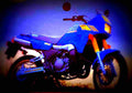 Yamaha TDR 250 1988 5 motorbike A4 Photo Print