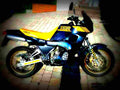 Yamaha TDR 250 1989 1 motorbike A4 Photo Print