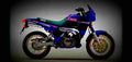Yamaha TDR 250 1990 1 600x284 motorbike A4 Photo Print