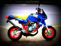 Yamaha TDR 80 80 cc 6 motorbike A4 Photo Print