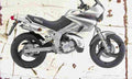 Yamaha TDR125 2001 Aged Vintage A4 Photo Print