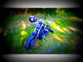 Yamaha TR 1 1983 3 motorbike A4 Photo Print