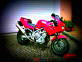 Yamaha TRX 850 1996 1 motorbike A4 Photo Print