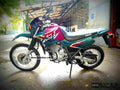 Yamaha TT 600 E 1997 1 motorbike A4 Photo Print