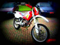 Yamaha TT 600 E 1997 4 motorbike A4 Photo Print