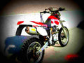 Yamaha TT 600 R 1999 2 motorbike A4 Photo Print