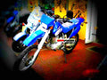 Yamaha TT 600 R 2001 5 motorbike A4 Photo Print