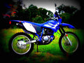 Yamaha TT R 230 TT R 230 3 motorbike A4 Photo Print