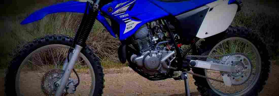 Yamaha TT R230 2017 1 825x284 motorbike A4 Photo Print