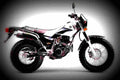Yamaha TW 200 2002 6 motorbike A4 Photo Print