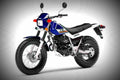 Yamaha TW200 2017 1 motorbike A4 Photo Print