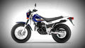 Yamaha TW200 2017 3 motorbike A4 Photo Print