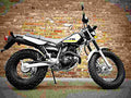 Yamaha TW200 2018 4 motorbike A4 Photo Print