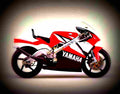 Yamaha TZ 250 2002 4 motorbike A4 Photo Print
