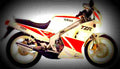Yamaha TZM 50 R TZM 50 R 1 motorbike A4 Photo Print