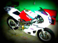 Yamaha TZM 50 R TZM 50 R 5 motorbike A4 Photo Print