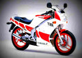 Yamaha TZR 250 1988 1 motorbike A4 Photo Print